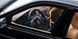 BMW M5 (E39) 2000 OT1338 фото 2