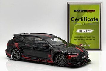 Audi RS6 (C8) Darwin Pro 2021  KWRS6DP002 фото